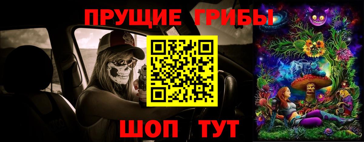 Псилоцибиновые грибы GOLDEN TEACHER Сертолово