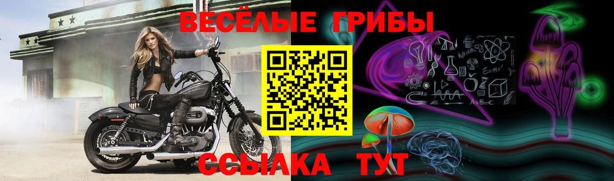 Галлюциногенные грибы GOLDEN TEACHER  Вход с VPN  Галлюциногенные грибы Psilocybine cubensis  хочу   Сертолово 